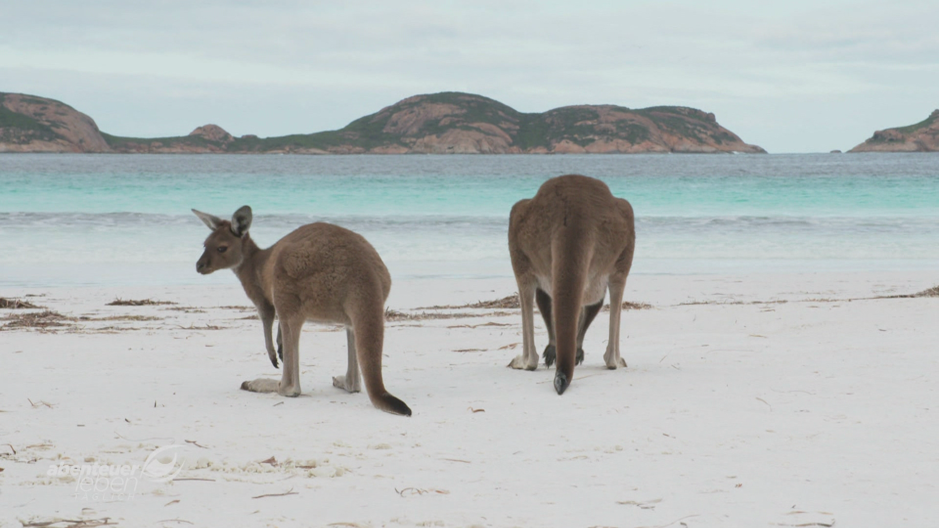 Lucky Bay - Hype oder echter Traumstrand?