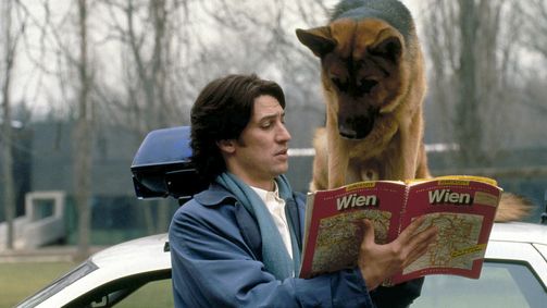 Kommissar Rex Staffel 1 Folge 10: Der erste Preis