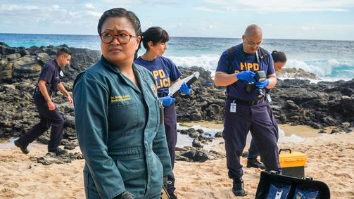 Hawaii Five-0 Hawaii Five-0 Folge 13: Unter Wasser