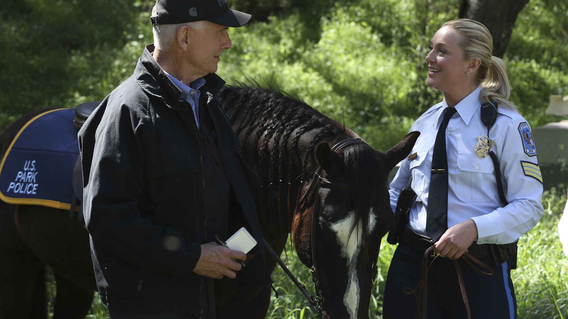 Der Pferdeflüsterer
