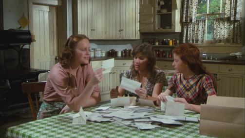 Die Waltons WALTONS, DIE - 07 Folge 20: Alle lieben Erin