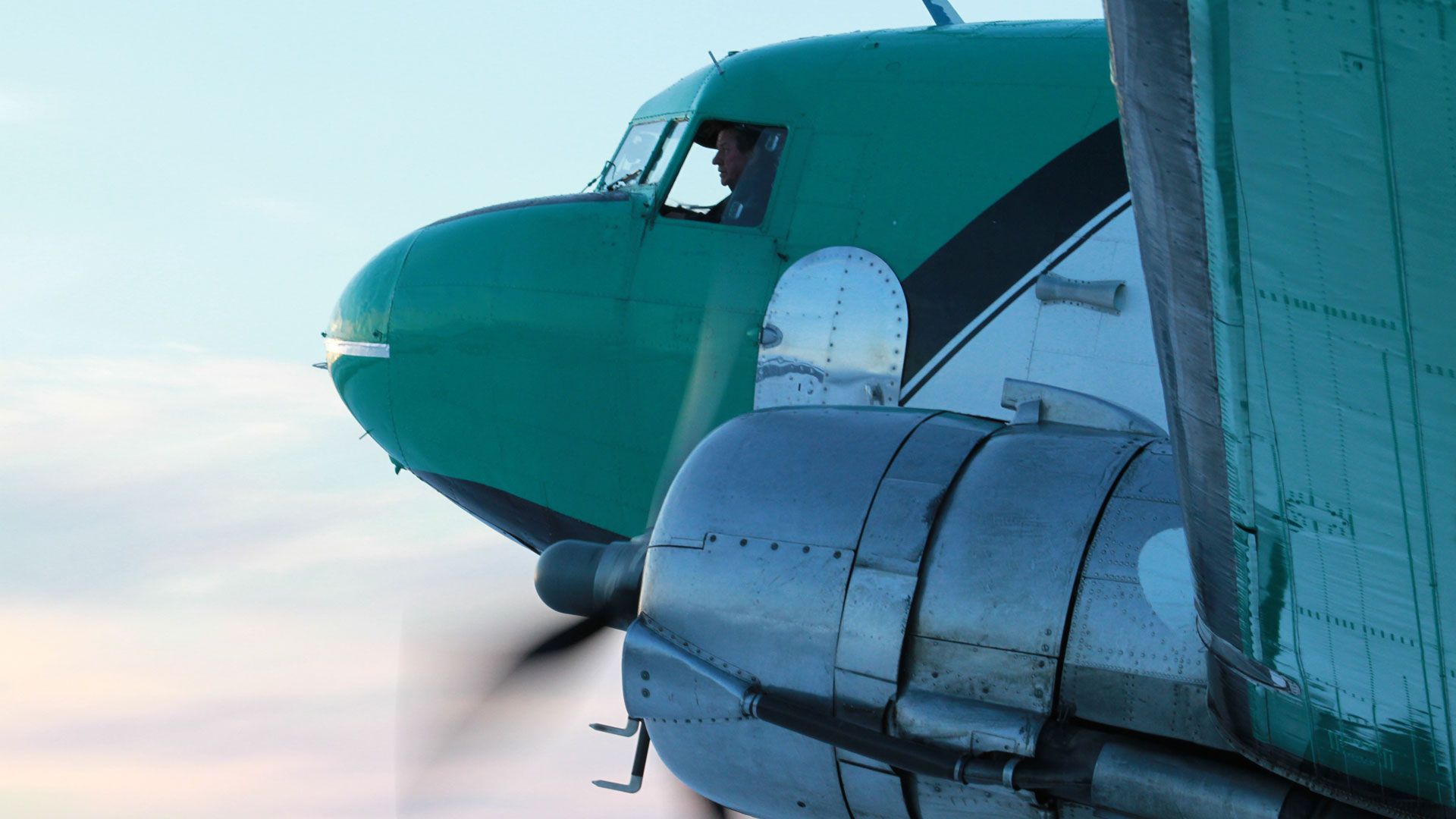 Grünschnäbel an Bord