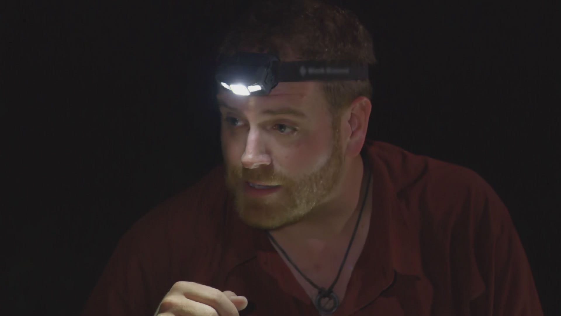 Die Jagd nach der goldenen Eule