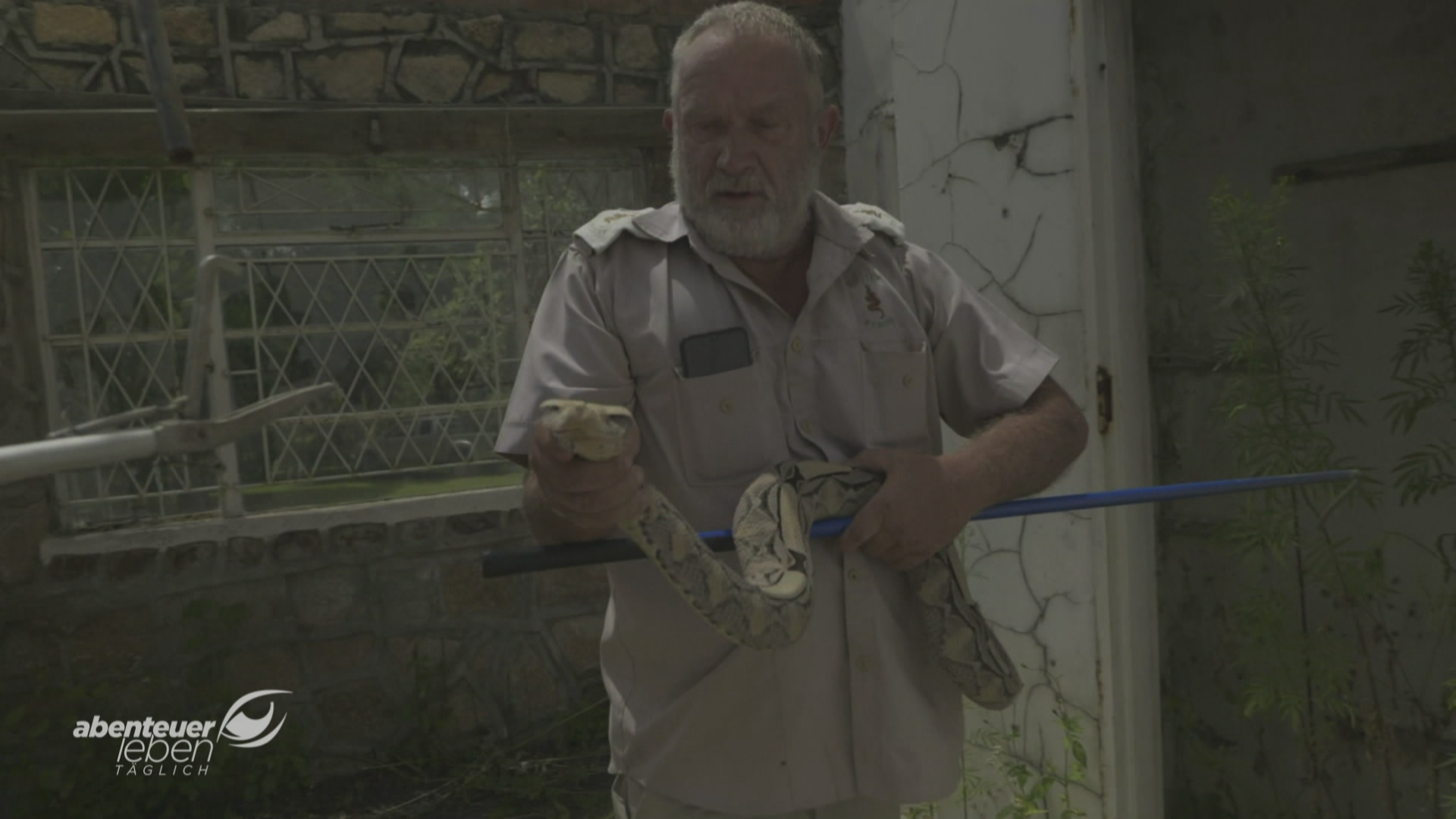 Der Schlangenmann und die Gabunviper