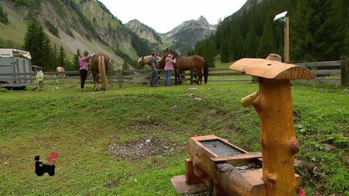 Bauer sucht Frau Bauer sucht Frau - Staffel 18 Folge 14: Bauer sucht Frau - Staffel 18 Folge 14 - Die Hofwochen