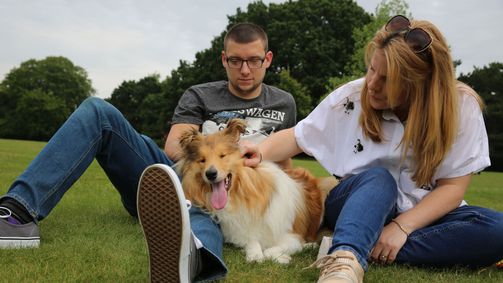 Der Super Doc - Einsatz für 4 Pfoten Der Super-Doc - Einsatz für 4 Pfoten Folge 7: Merida, Tito, and Monti - Puppies Special