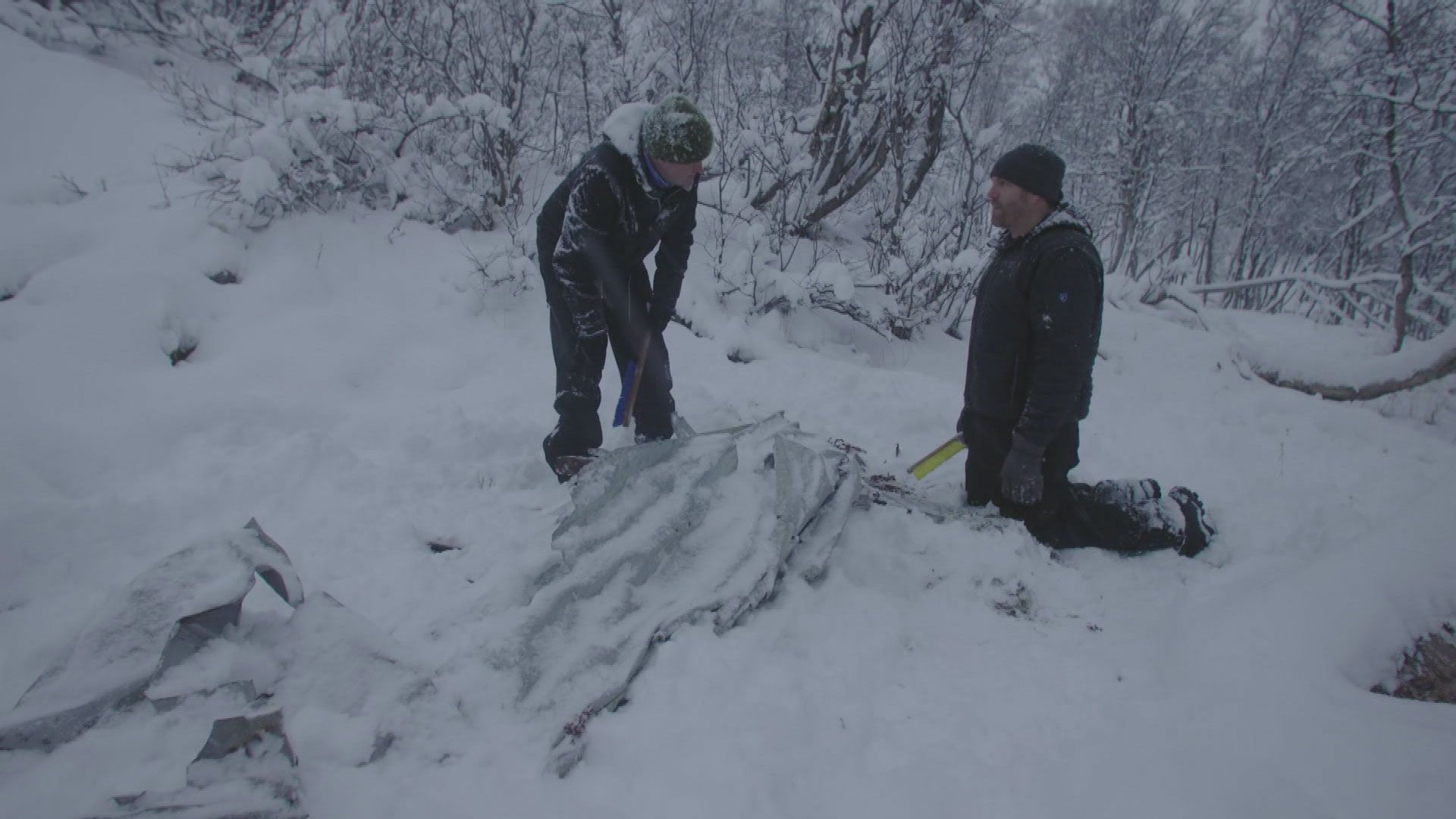 Die Wiederentdeckung der legendären Barracuda