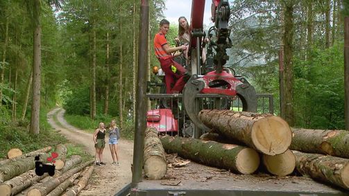 Bauer sucht Frau Bauer sucht Frau - Staffel 19 Folge 4: Staffel 19 Folge 04: Kuschelkurs und Konkurrenzkampf