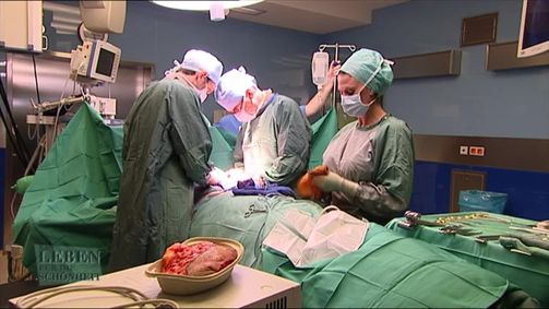 Ein Leben für die Schönheit Ein Leben für die Schönheit - Staffel 1 Folge 4: Ein Leben für die Schönheit - Staffel 1 Folge 4