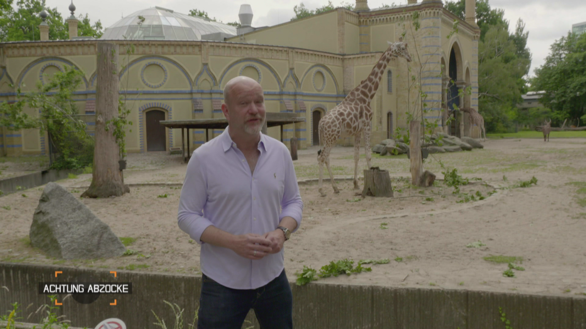 Abzocke in Afrika: Wie man Mensch und Tier wirklich hilft