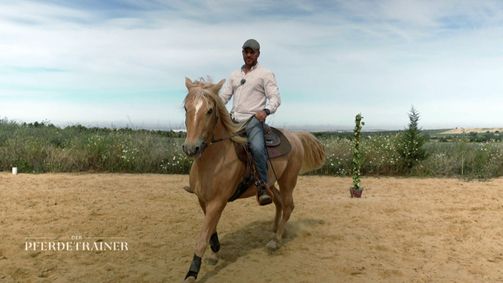 Der Pferdetrainer - Verstehen. Vertrauen. Verbinden. Der Pferdetrainer - Verstehen. Vertrauen. Verbinden. Folge 4: Starke Charaktere: Dominanz zähmen und im Galopp entspannt bleiben