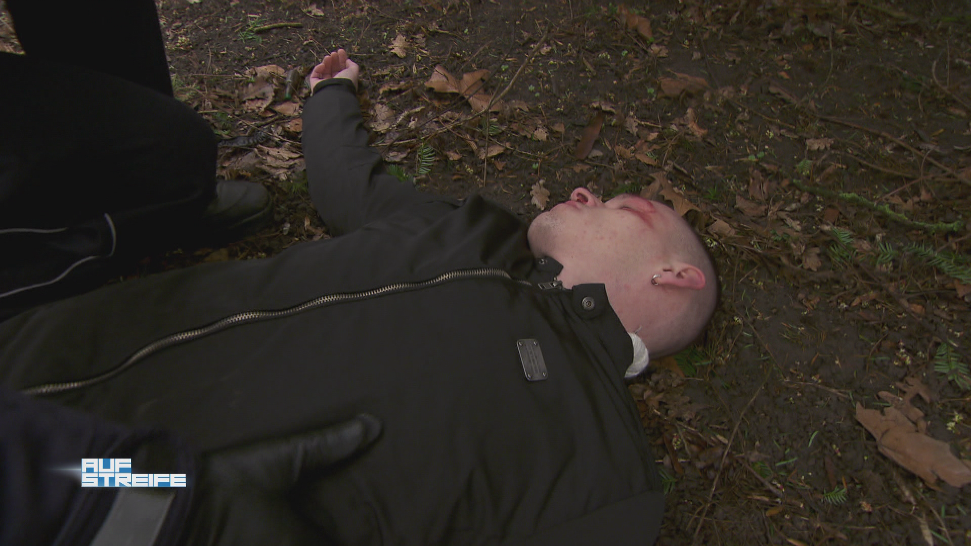 Leinenpflicht - kenn ich nicht!