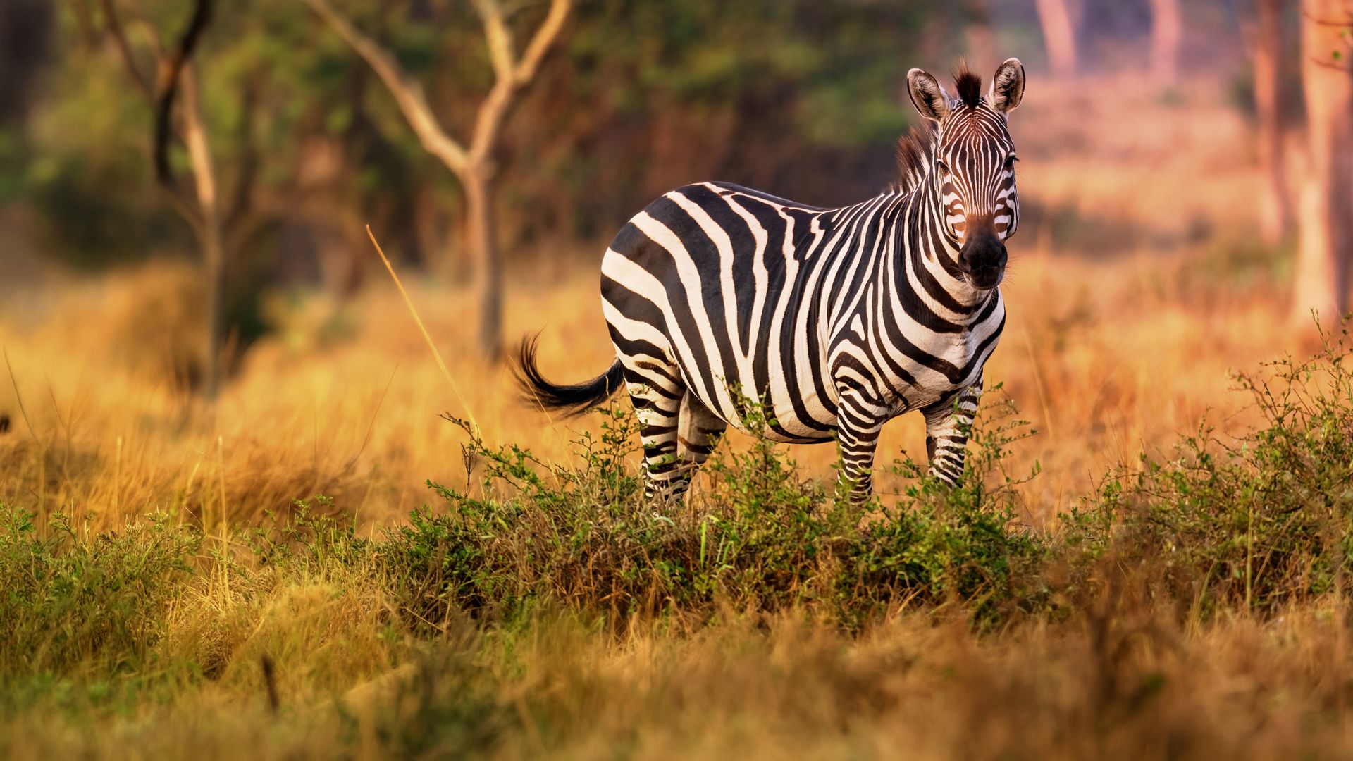 Tal der Flut und des Feuers