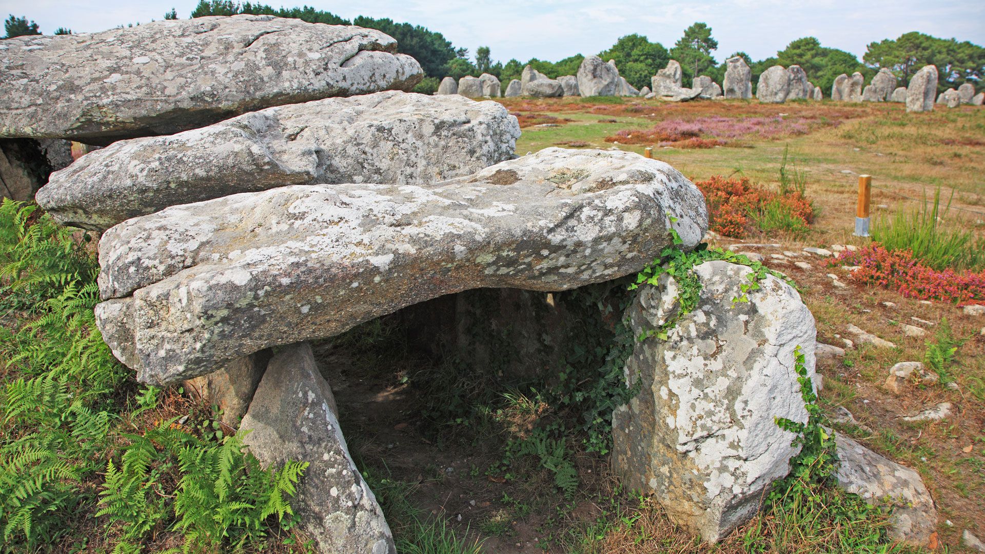 Der mysteriöse Friedhof von Fayyum