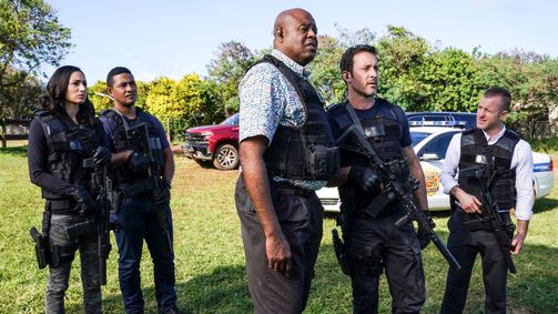 Hawaii Five-0 Hawaii Five-0 Folge 19: Goldrausch
