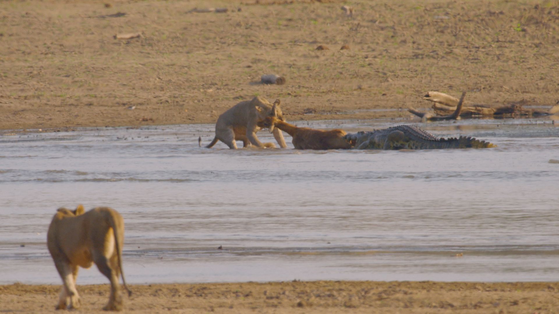 Sehnsucht nach Regen