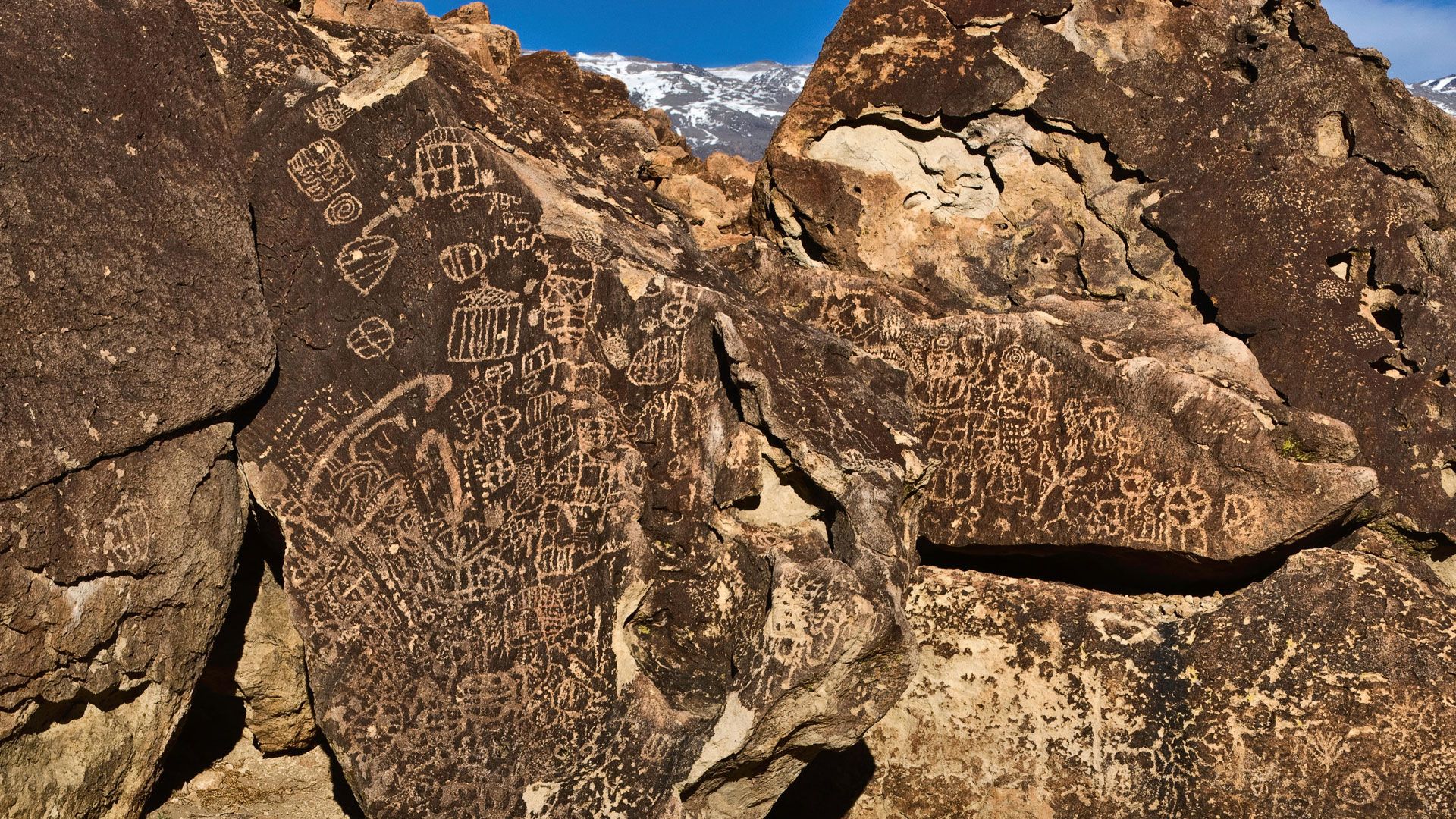 Kannibalische Siedler