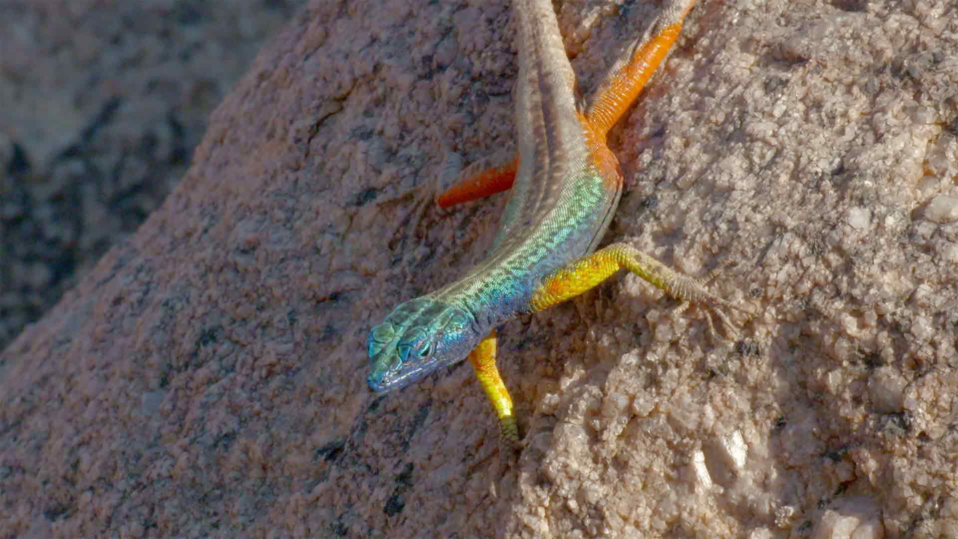 Der orangene River, Lebensader Südafrikas