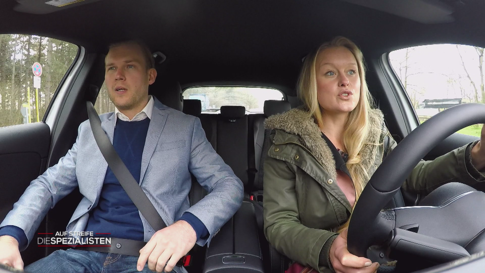 Dreimal schwarzer Kater