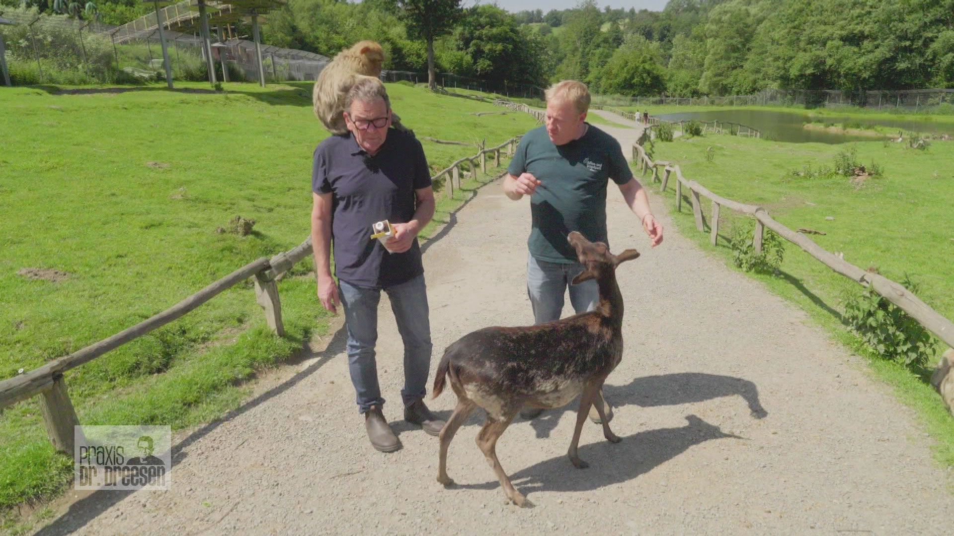 Im Zoo sind die Affen los