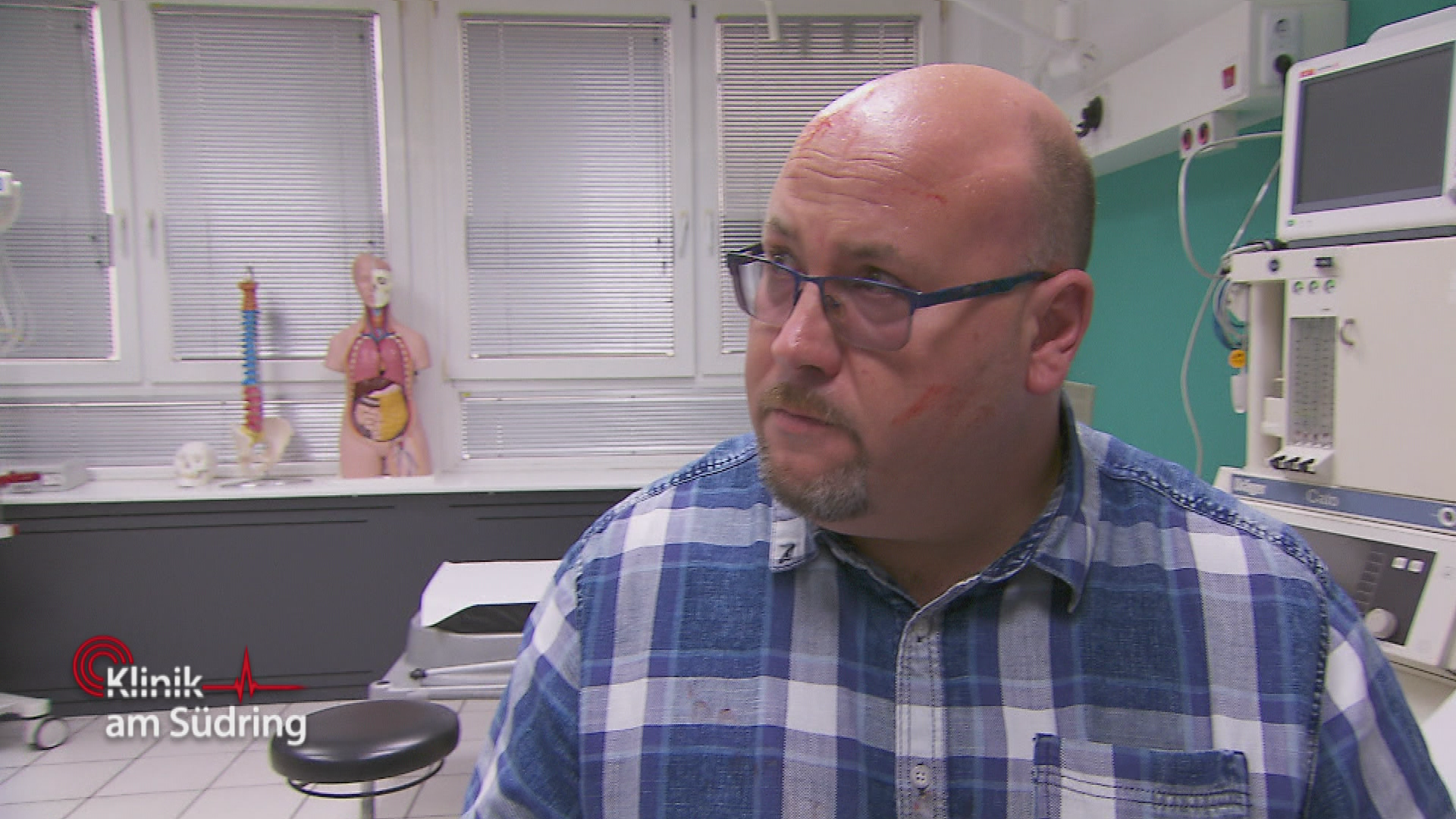 Ordnung ist die halbe Leber