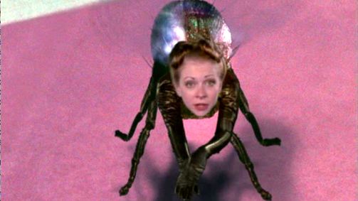 Sabrina ... total verhext! Sabrina ... total verhext! Folge 7: Sekten-Falle