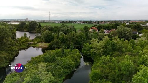 Aktuell: Im Fokus Aktuell: Im Fokus Folge 150: Im Fokus: Lobau-Tunnel