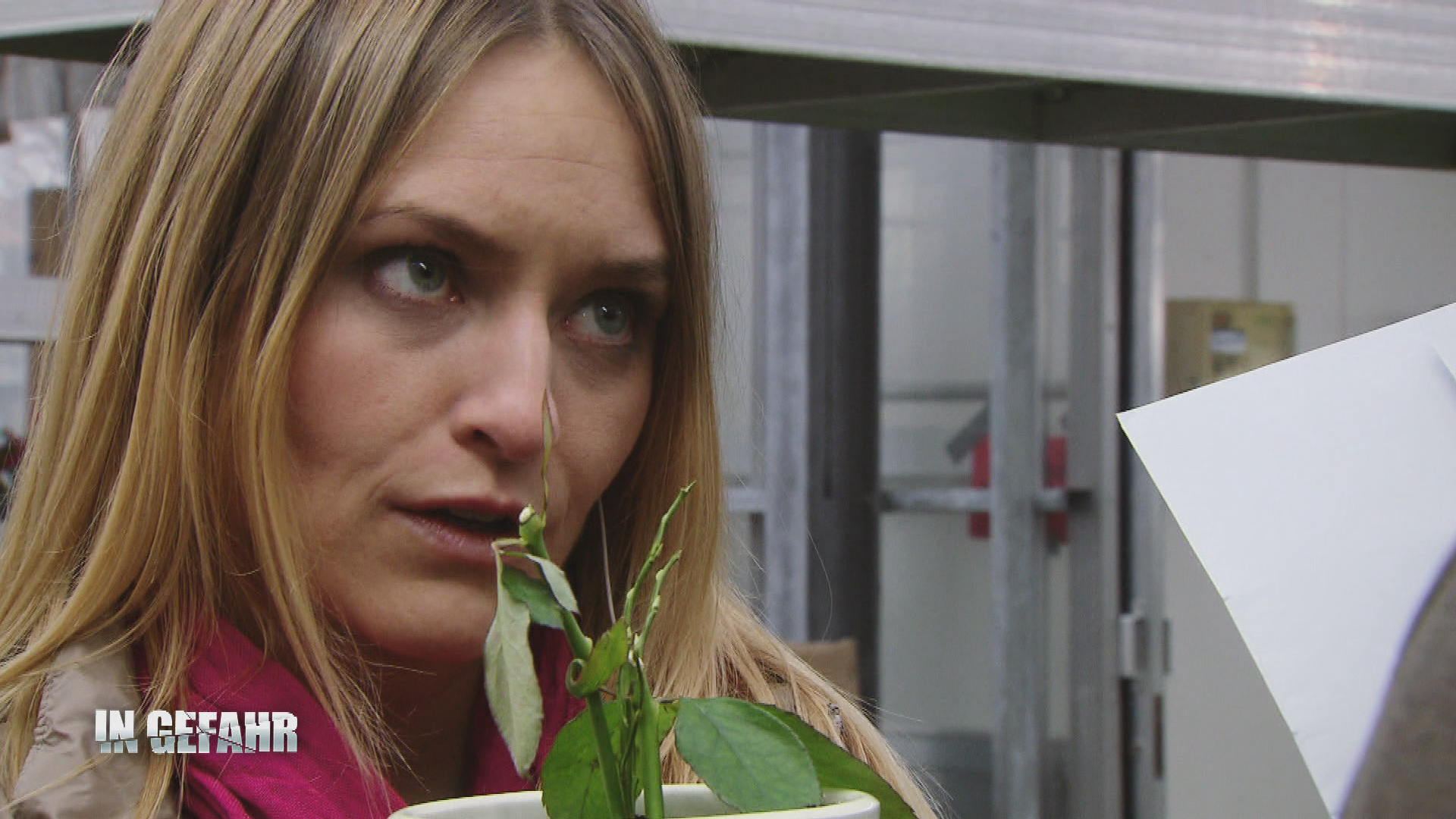 Teresa - Verlorene Liebe