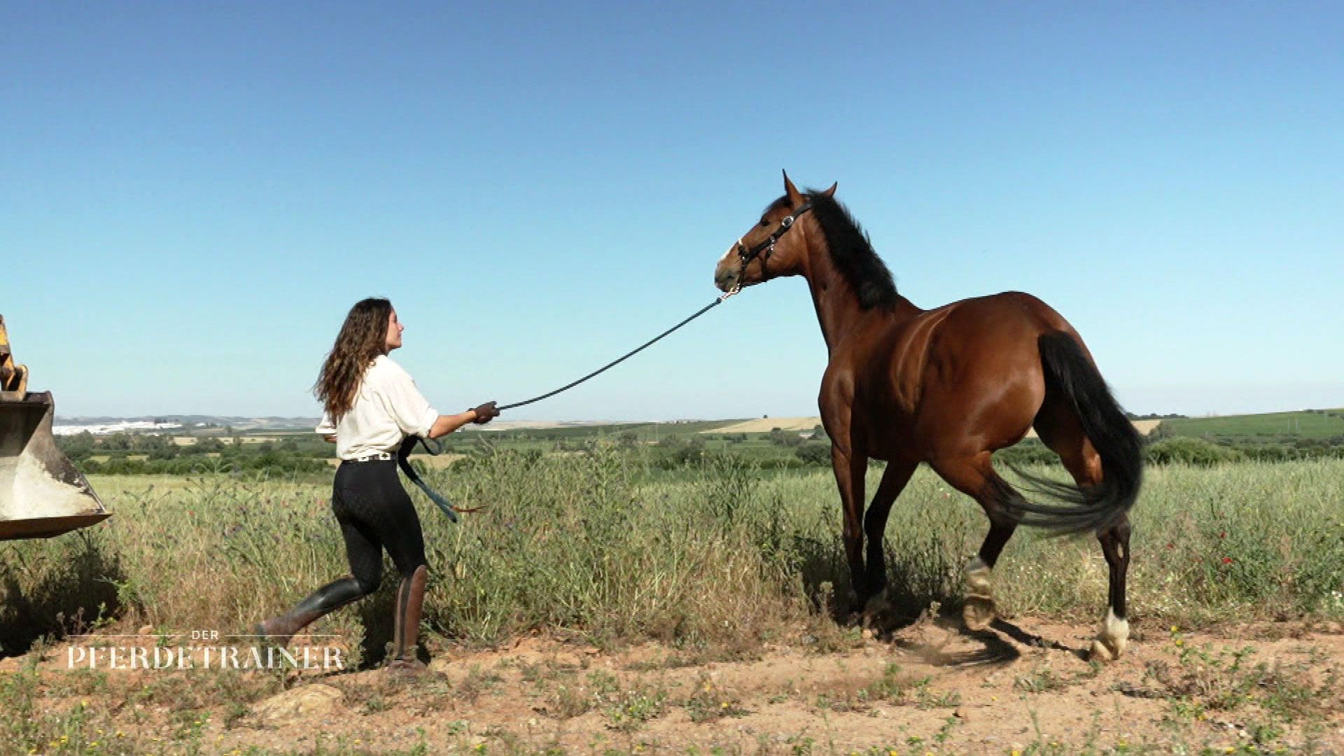 Unter der spanischen Sonne: Raphael Dysli meistert neue Aufgaben