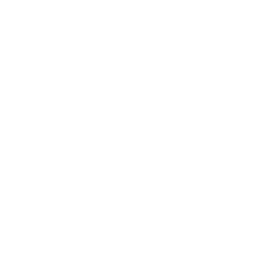 Mord unter Palmen