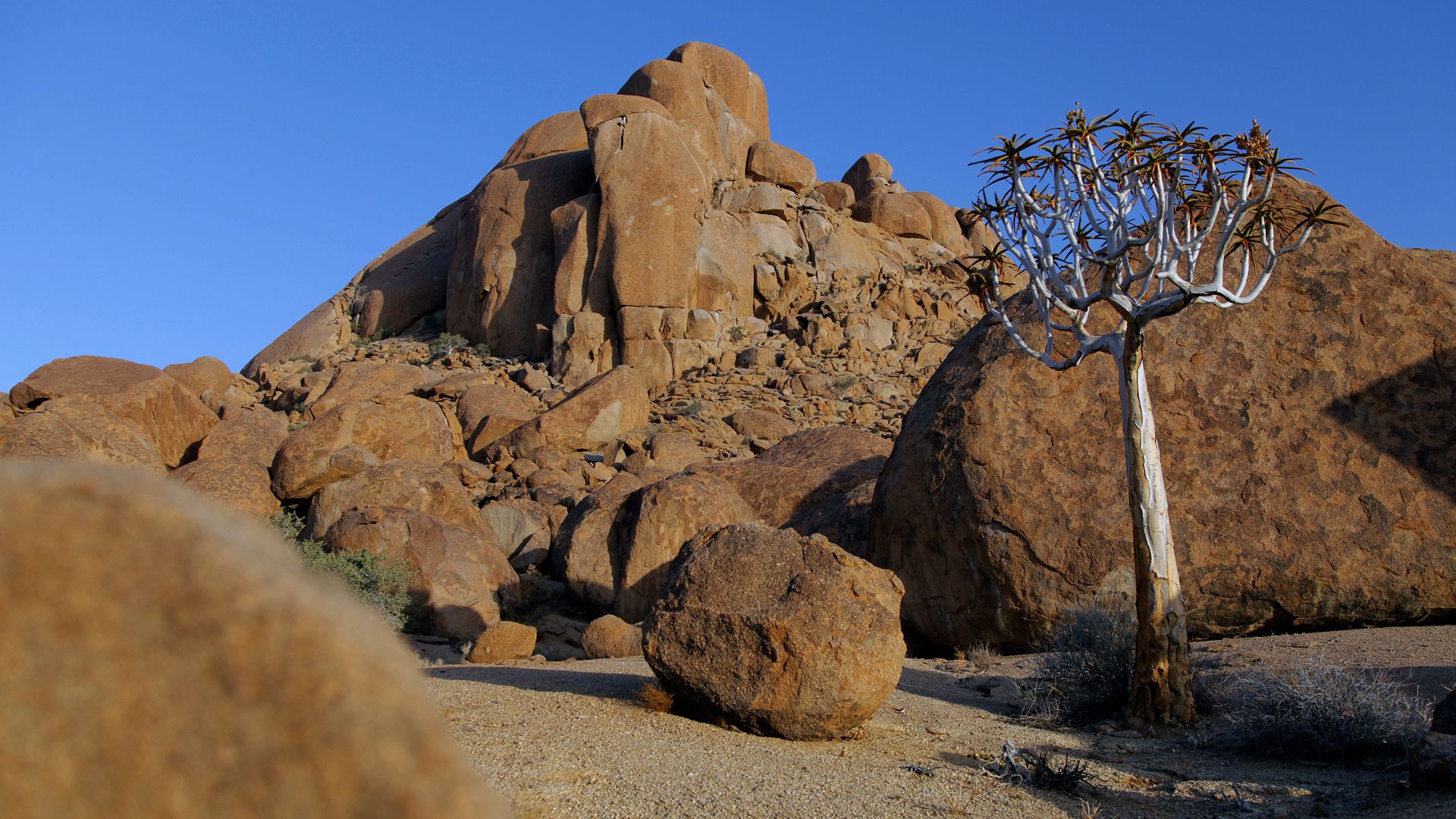 Lake-Manyara-Nationalpark