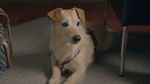 Der kleine Tod Der kleine Tod - Staffel 1 Folge 1: Der Hund geht rund