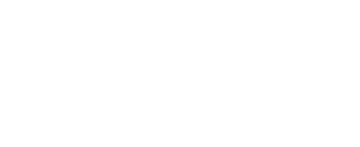Bad Spies
