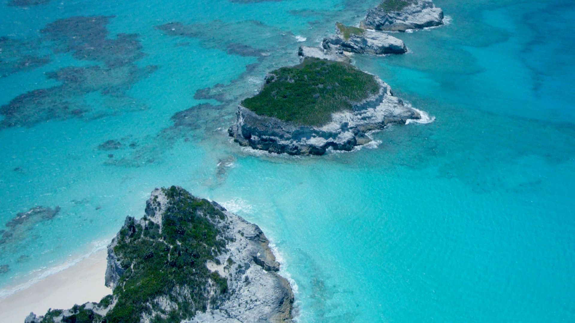 Große, blaue Wildnis