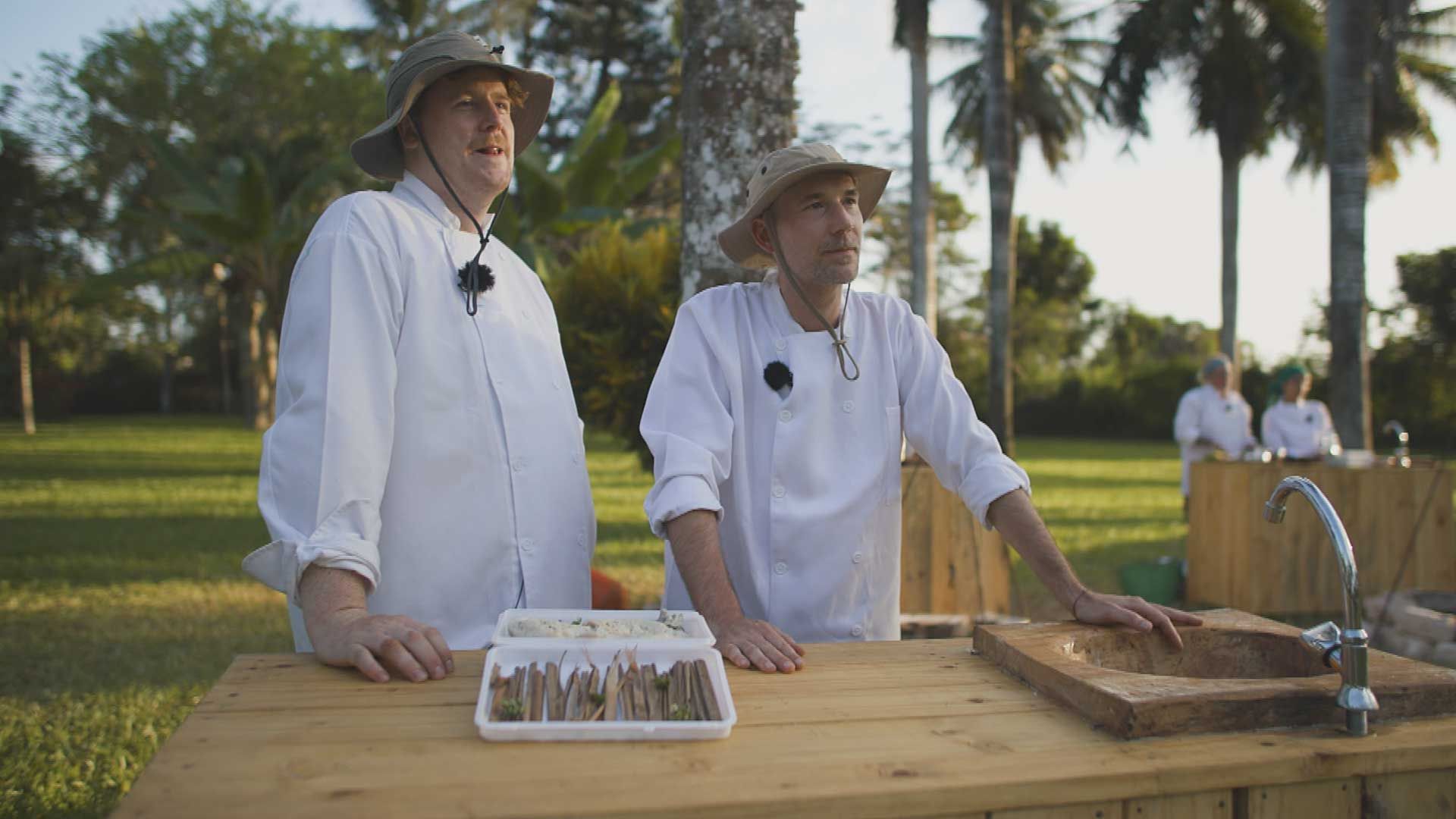 Welcome to the Jungle!