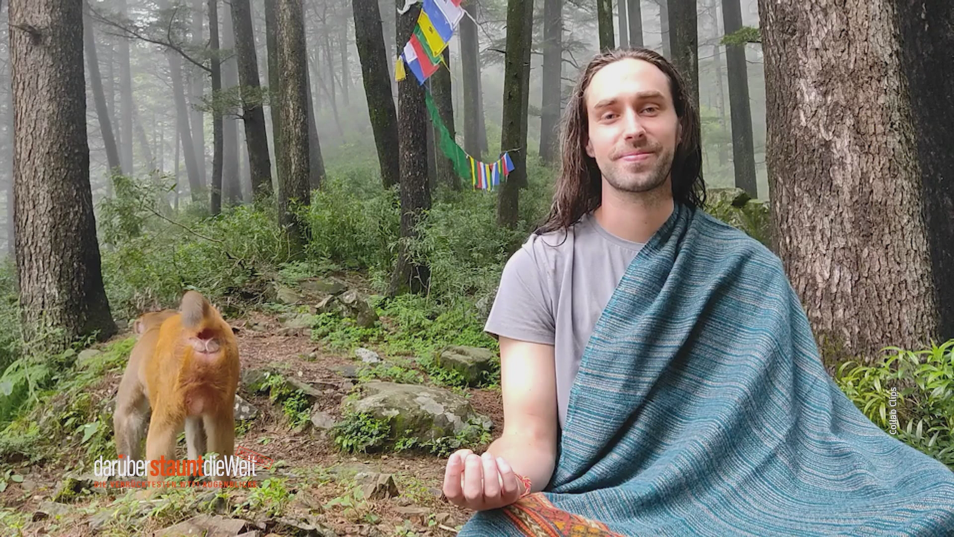 Die verrücktesten WTF-Augenblicke - Reloaded