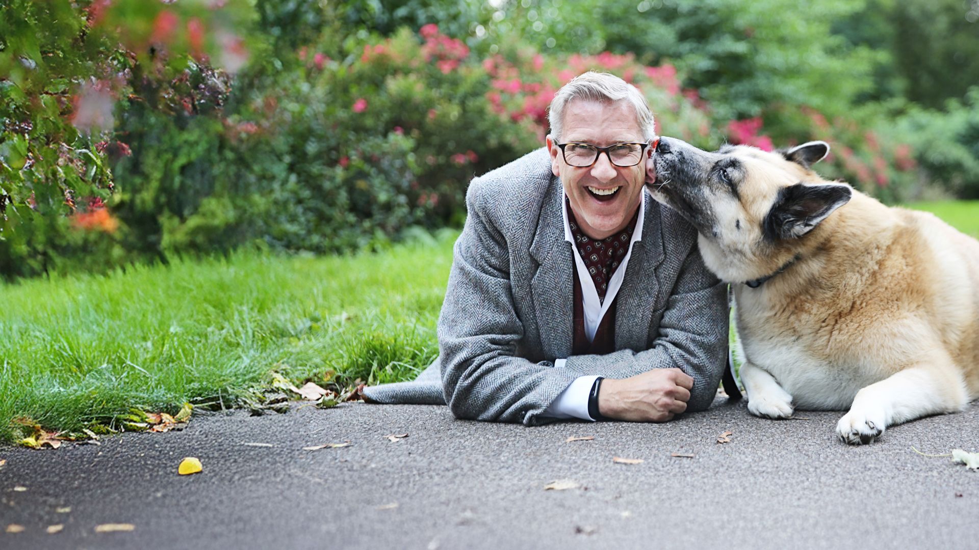 Hunde außer Kontrolle - Ein Coach für alle Felle