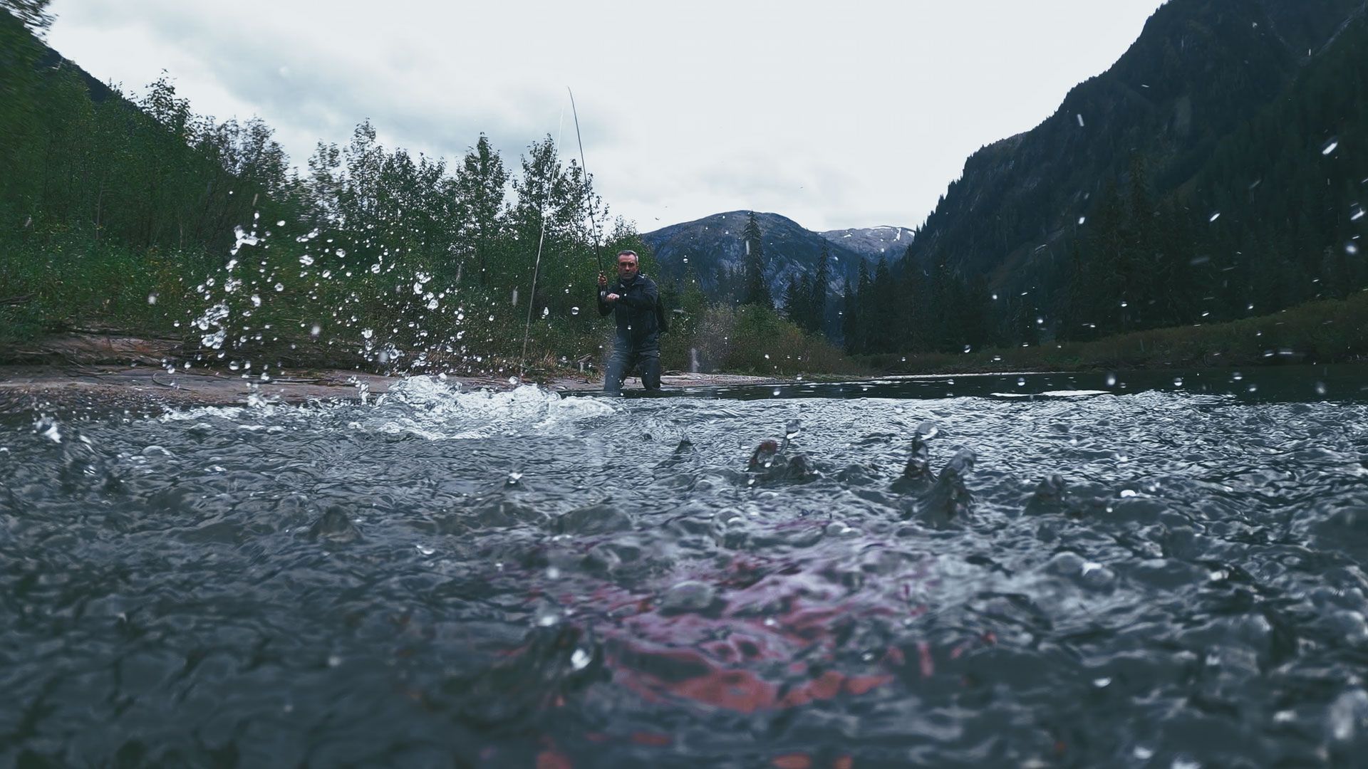 Lachsfang im Bärenrevier