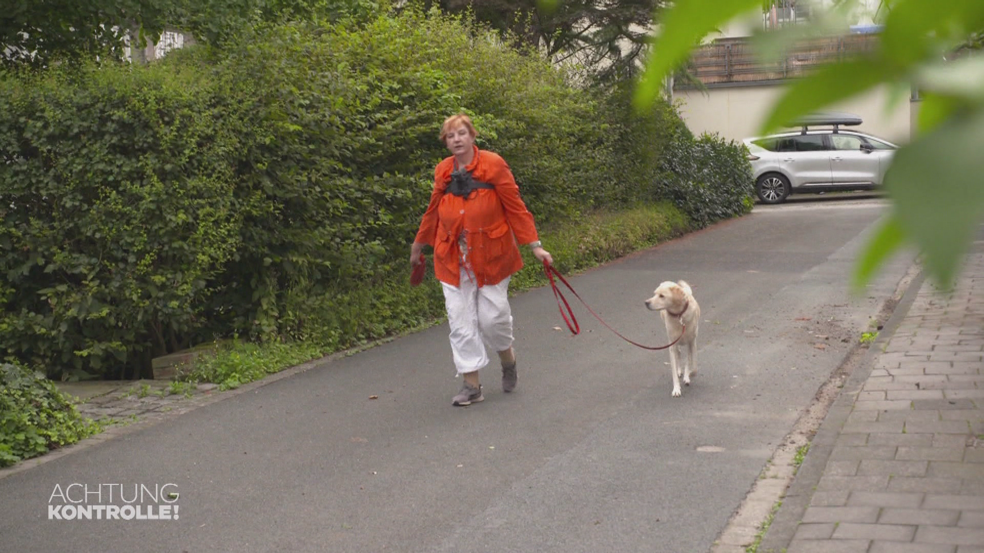 Geldspürhund Münster