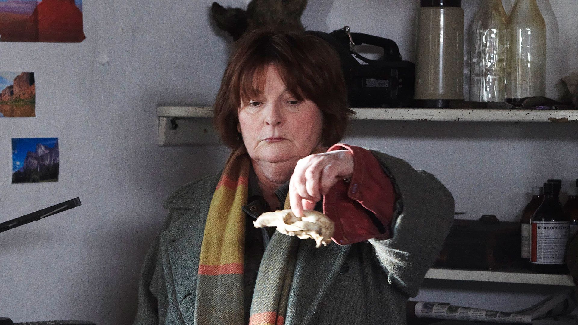 Die verlorene Schwester