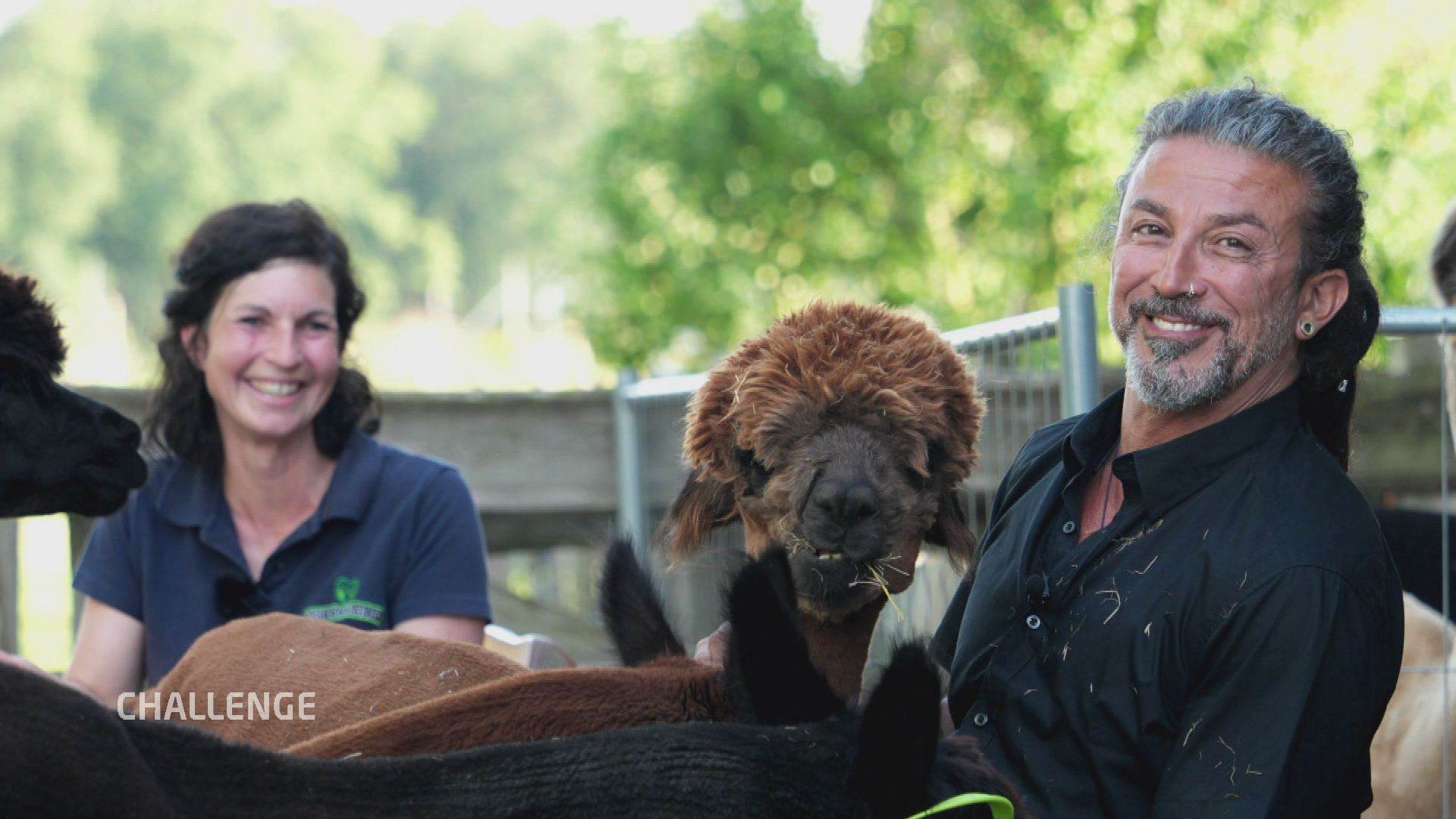 Stix in the City: Dachau barrierefrei erleben