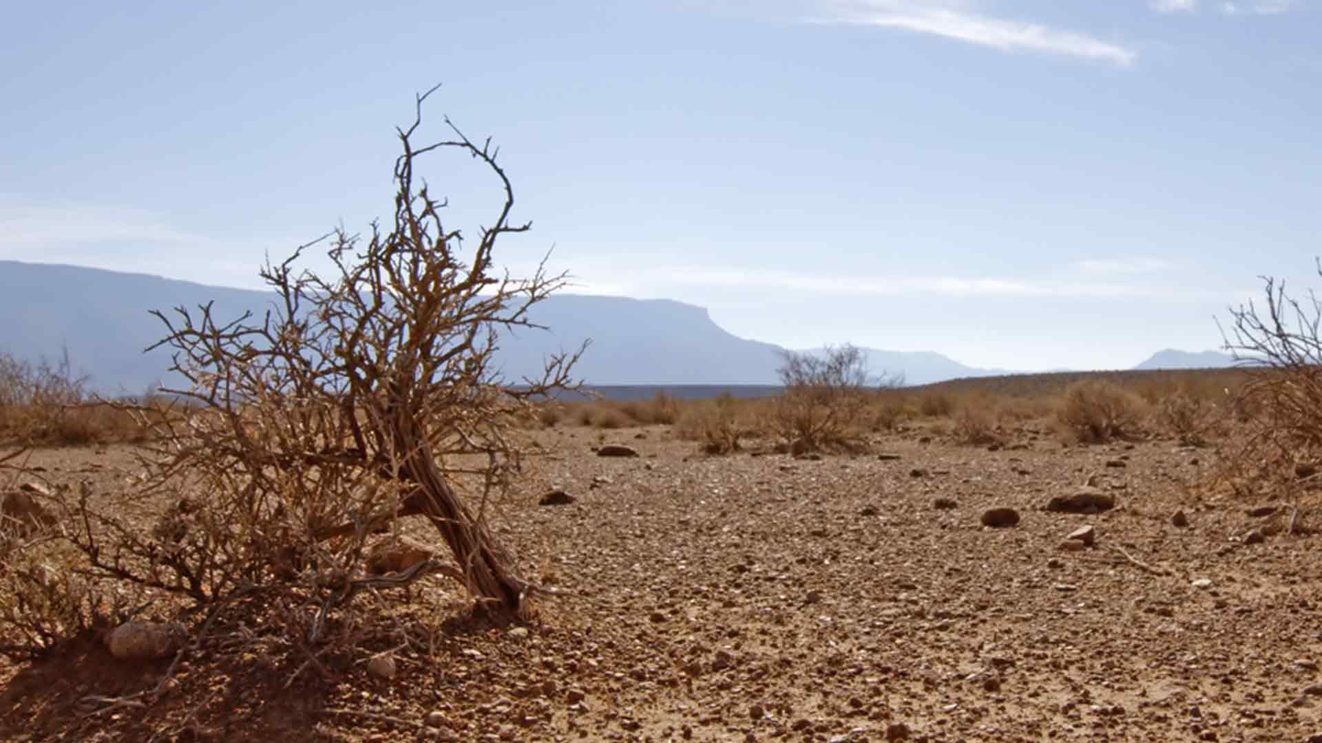 Der Karoo-Nationalpark
