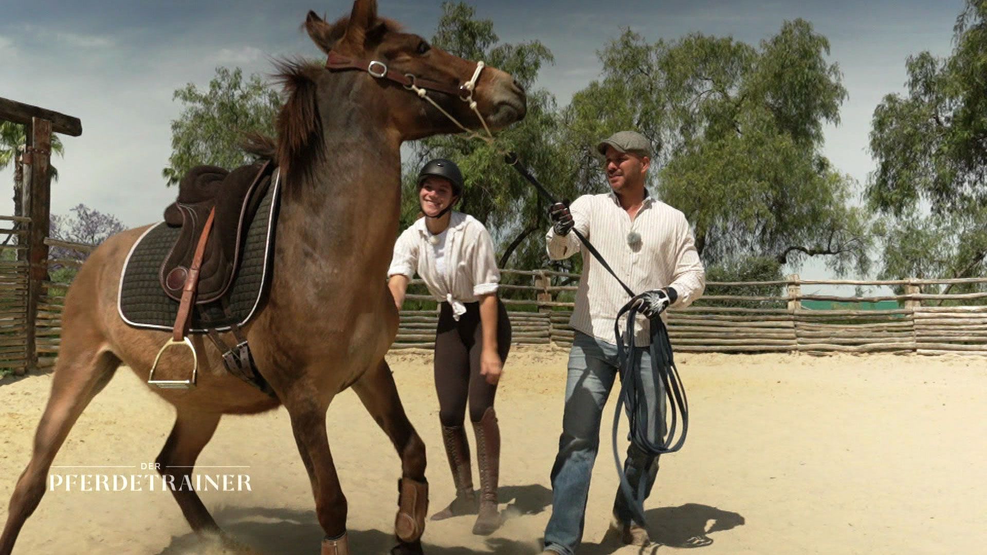 Vertrauen neu aufbauen: Raphael Dysli bringt Pferd und Reiter zusammen