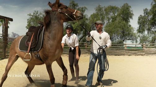 Der Pferdetrainer - Verstehen. Vertrauen. Verbinden. Der Pferdetrainer - Verstehen. Vertrauen. Verbinden. Folge 2: Vertrauen neu aufbauen: Raphael Dysli bringt Pferd und Reiter zusammen
