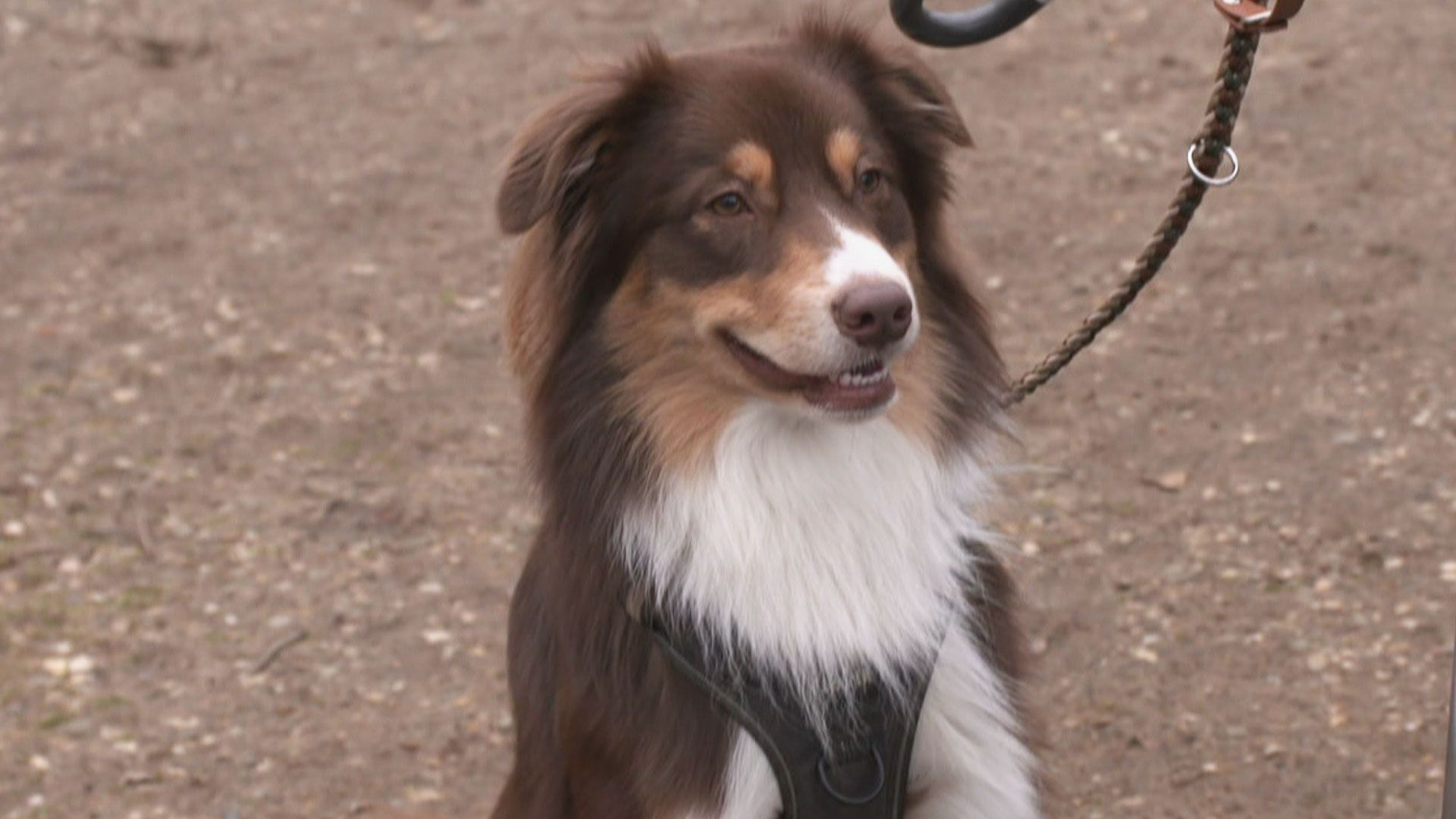 Kleine Herausforderungen und große Prüfungen