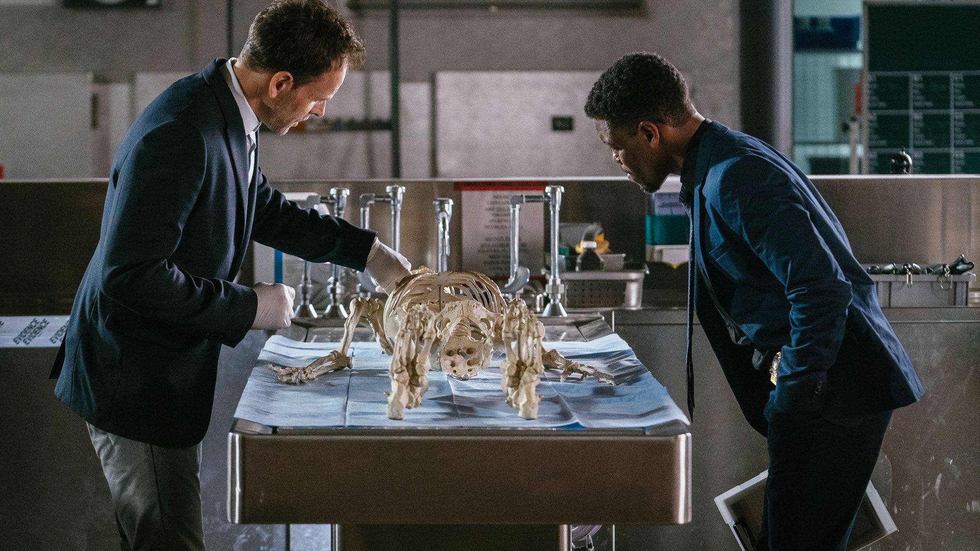 Das Skelett meiner Frau