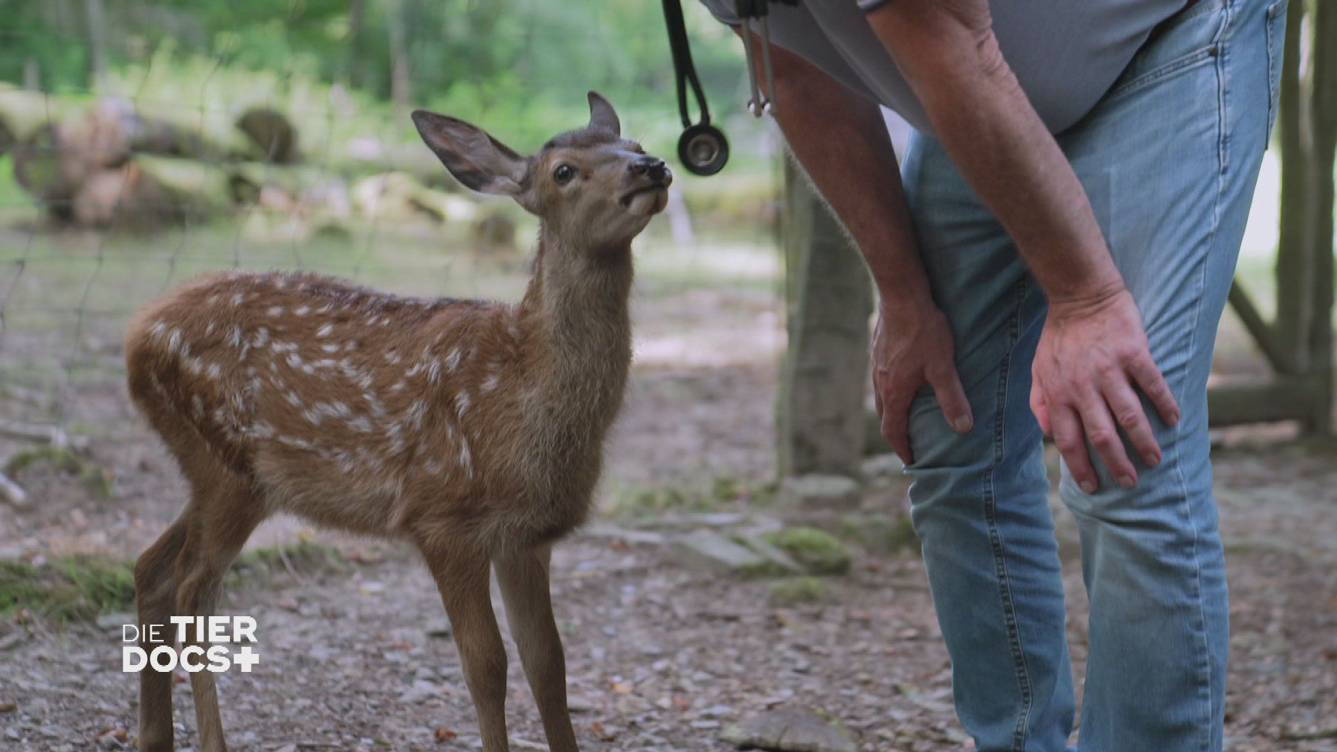 Tränen in der Praxis