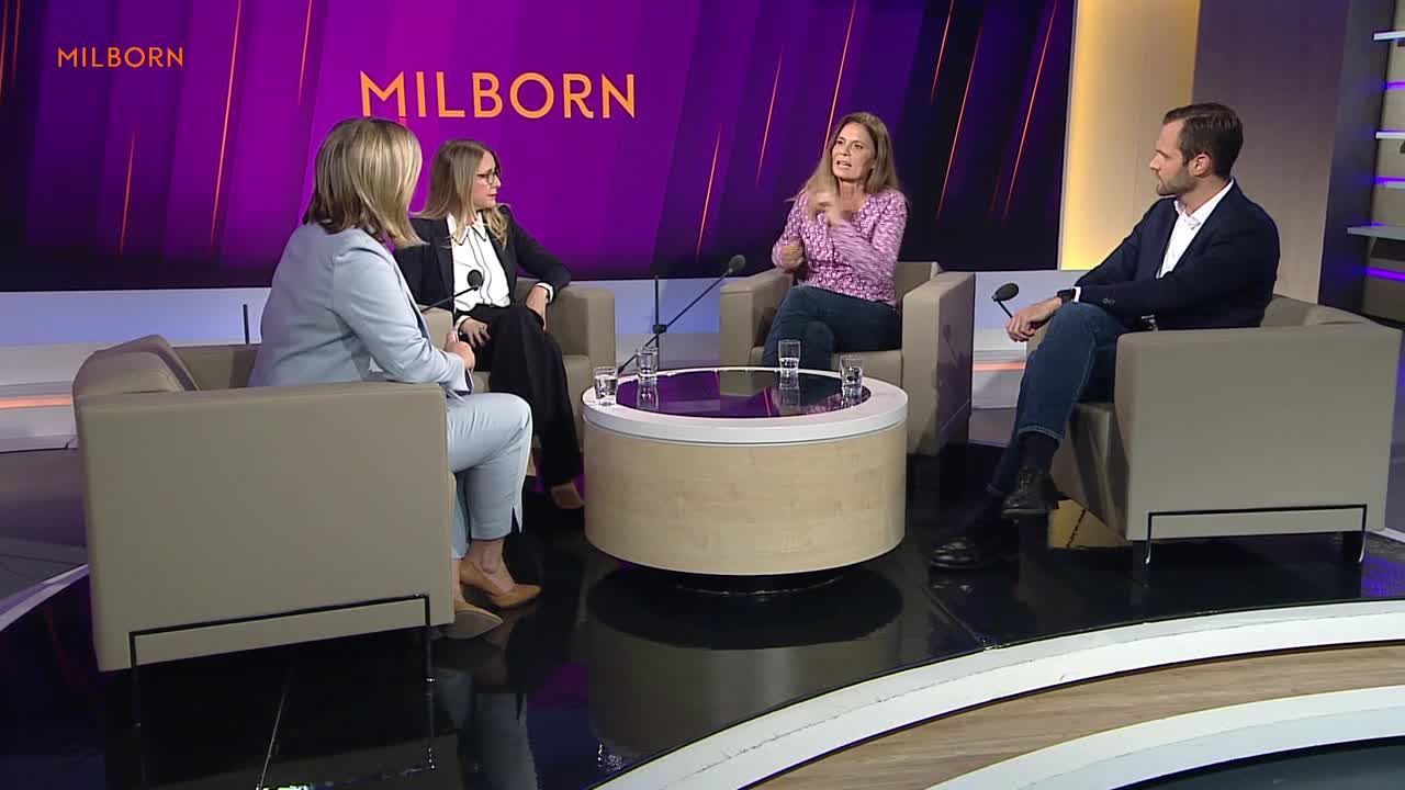 Wolf, Schramböck, Wiener und Eypeltauer im Interview bei Milborn 