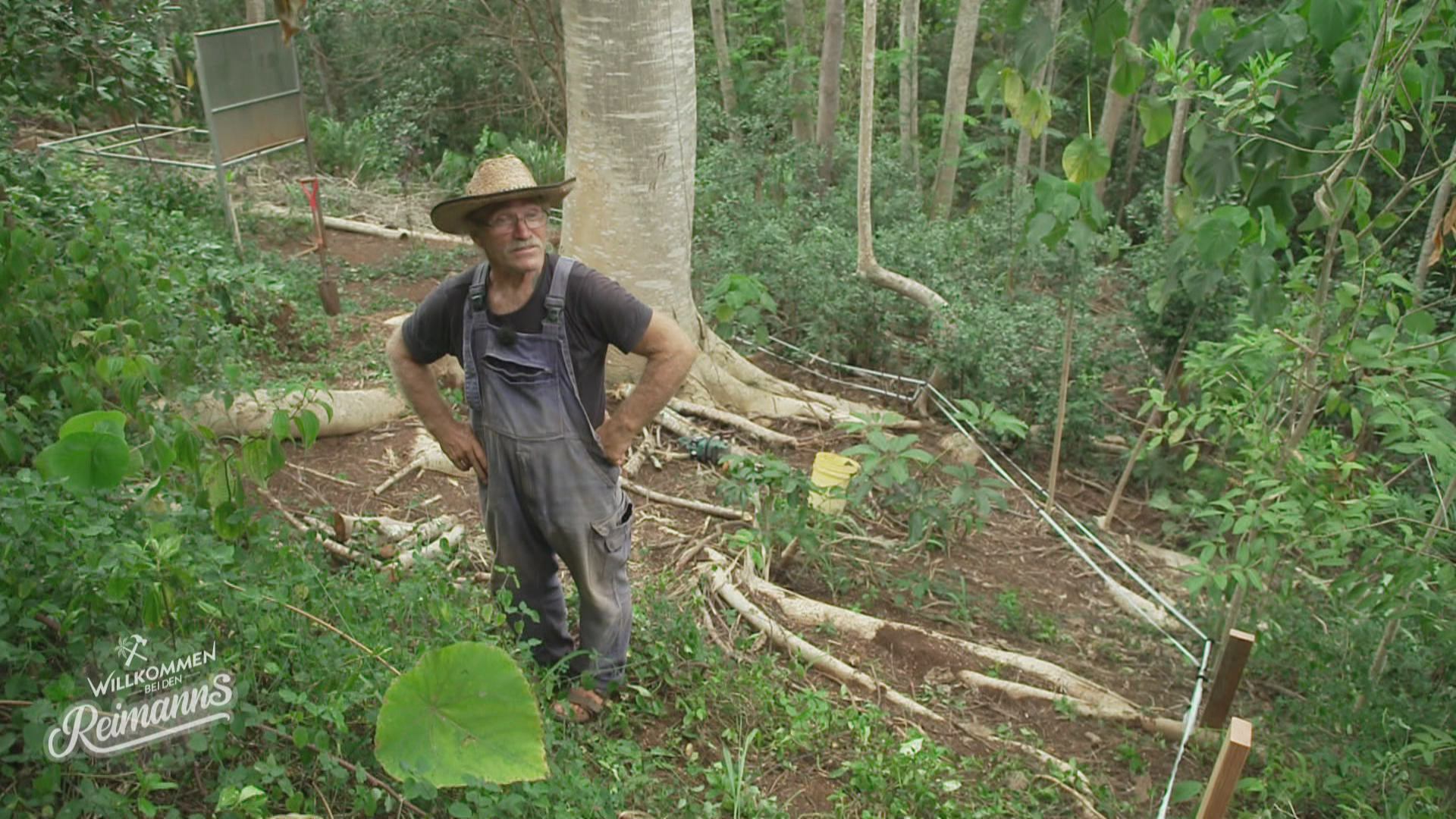 "Mistschwein!" Mit dem Stromzaun gegen das Borstenvieh