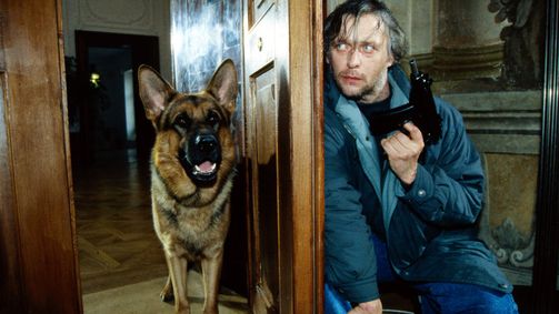 Kommissar Rex Staffel 1 Folge 5: Tanz auf dem Vulkan